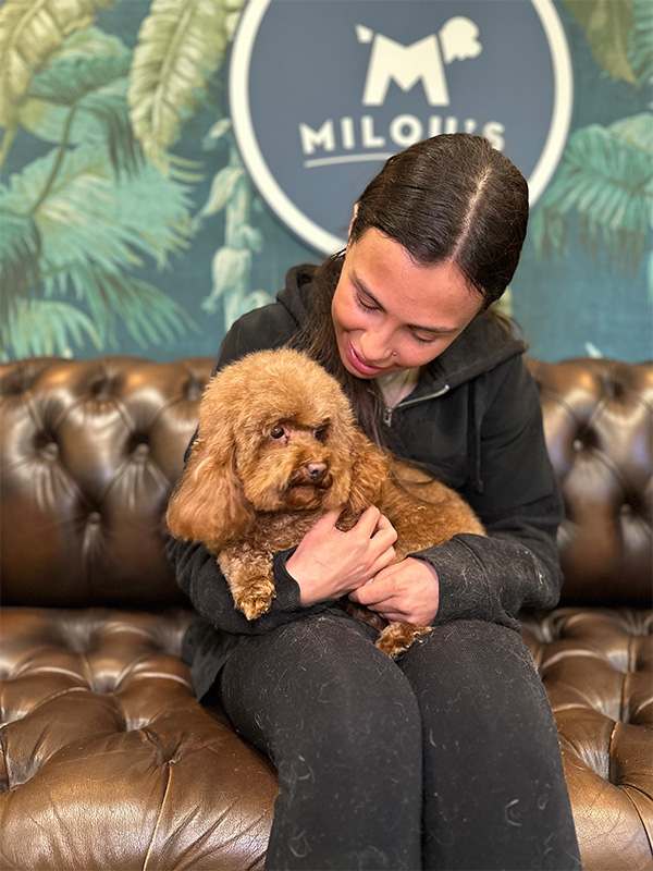 Milou's staff playing with fluffy brown dog in playroom