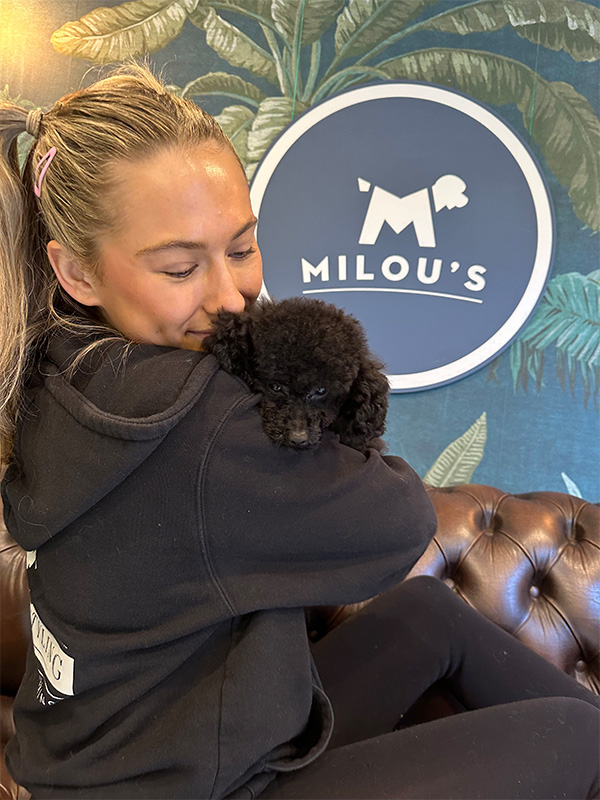Milou's staff carer cuddling with small black dog in playroom