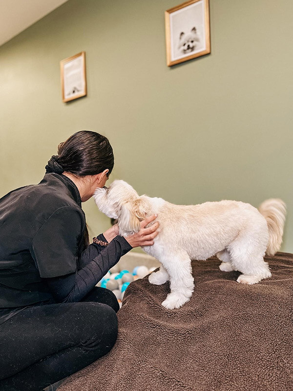 Milou's carer receiving affection from small white dog